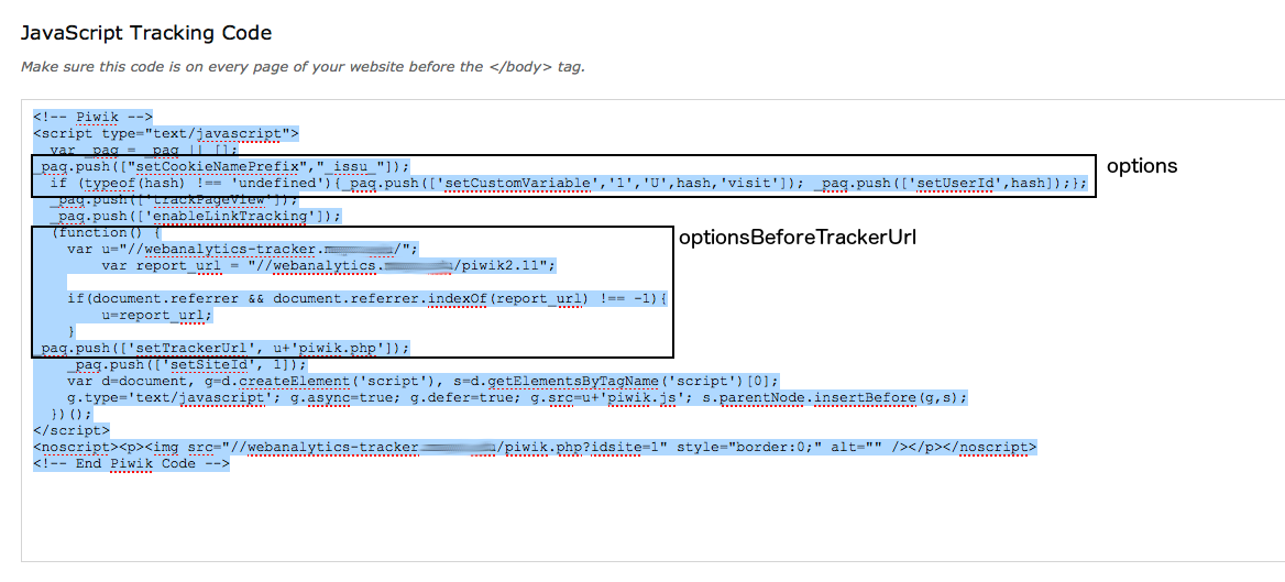 TrackingCodeCustomizer